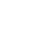 專業
