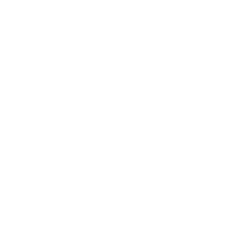 專業